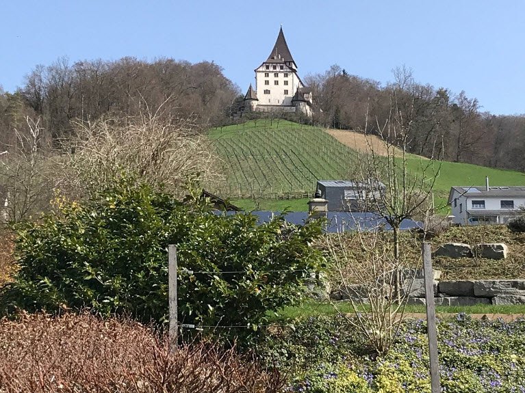 Schloss Weinfelden, Weinfelden, Switzerland, Switzerland